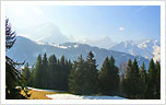 Swiss Real Estate Switzerland Property Swiss Chalets Properties Switzerland Swiss Real Estate