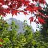 Villars-sur-Ollon