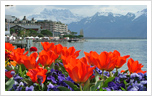 Swiss Real Estate Switzerland Property Swiss Chalets Properties Switzerland Swiss Real Estate