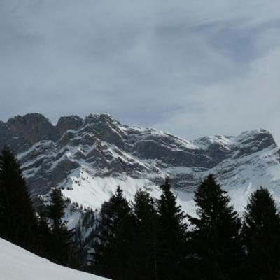 Alpes Des Chaux20