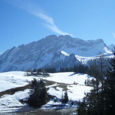 Alpes Des Chaux4