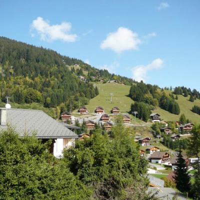 Morgins15