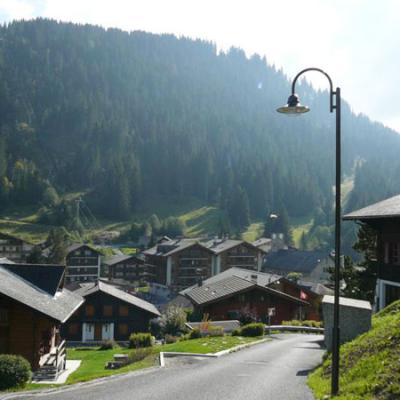 Morgins19