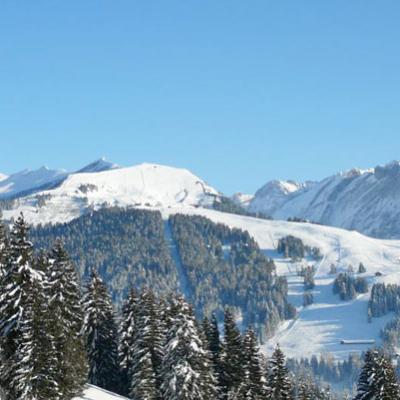 Swissskiresort11