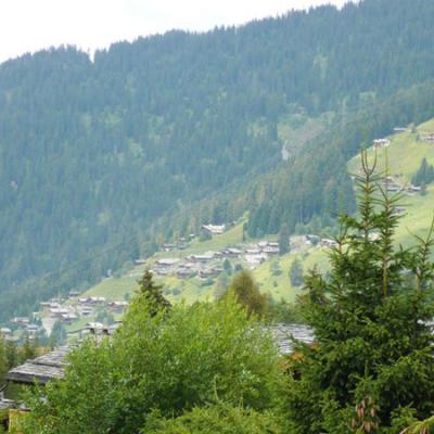 Swissskiresort28